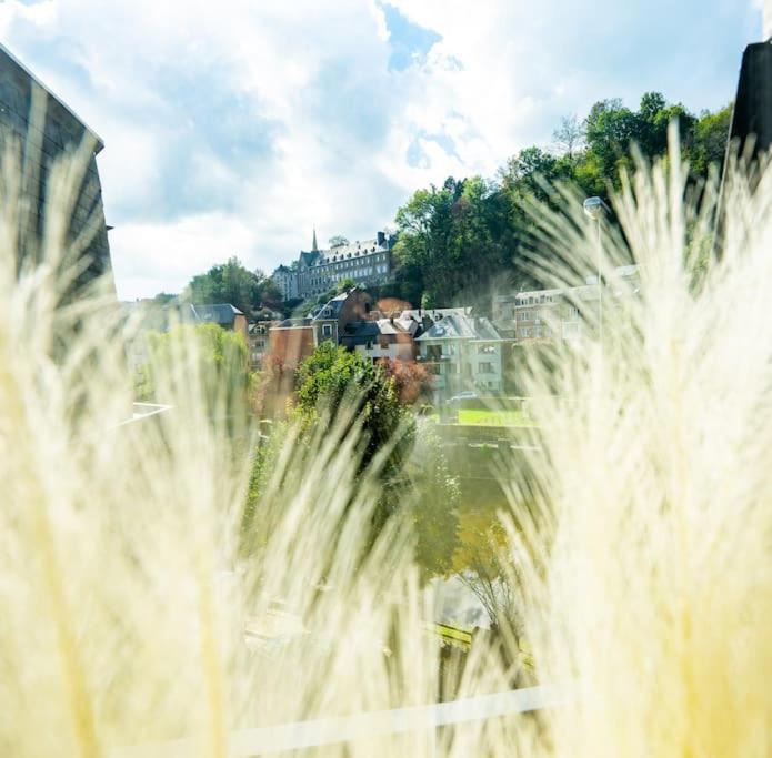 Le Comble Amoureux La-Roche-en-Ardenne Luaran gambar